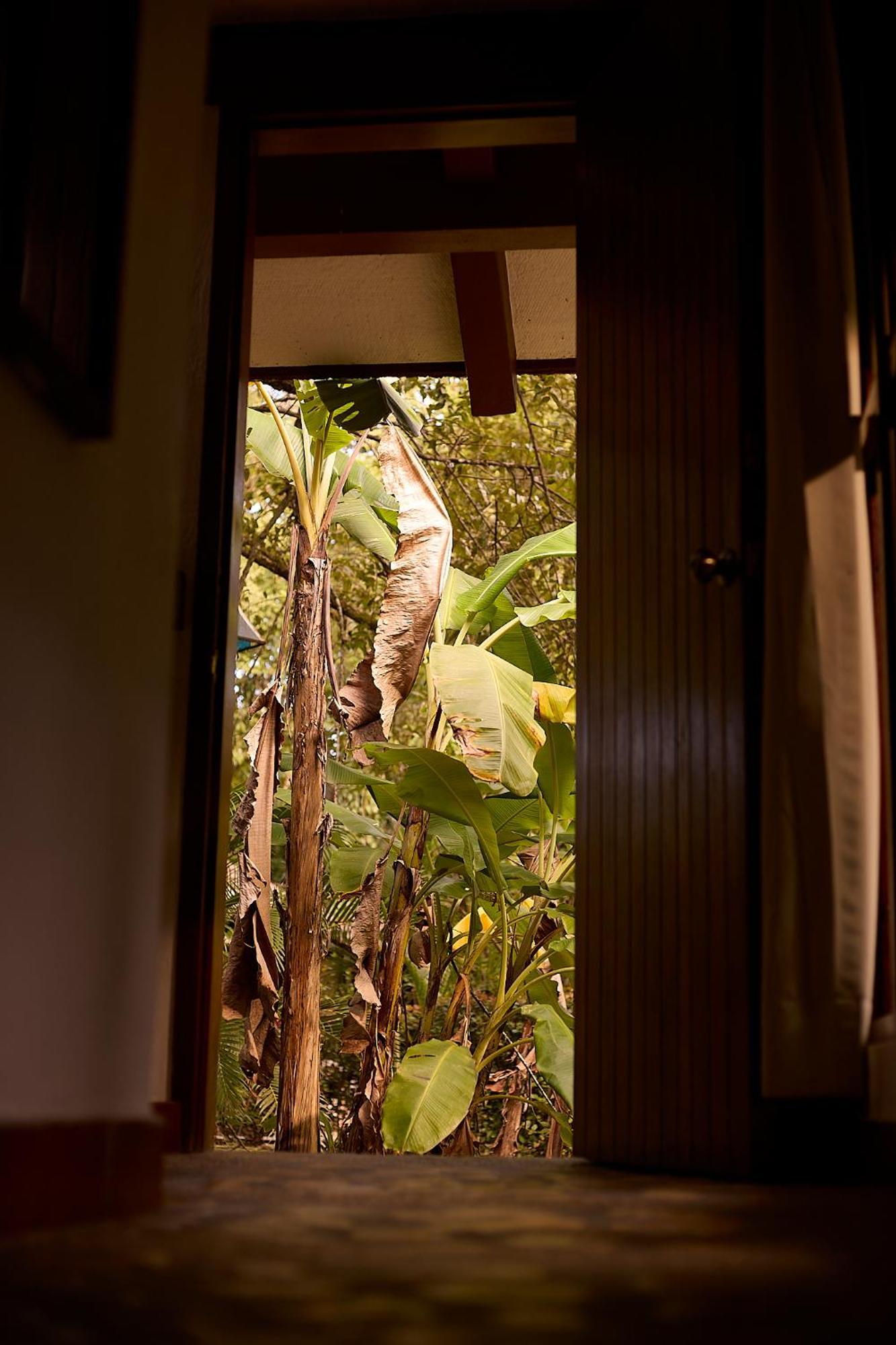 Chan-Kah Resort Village Convention Center & Maya Spa Palenque Exteriér fotografie