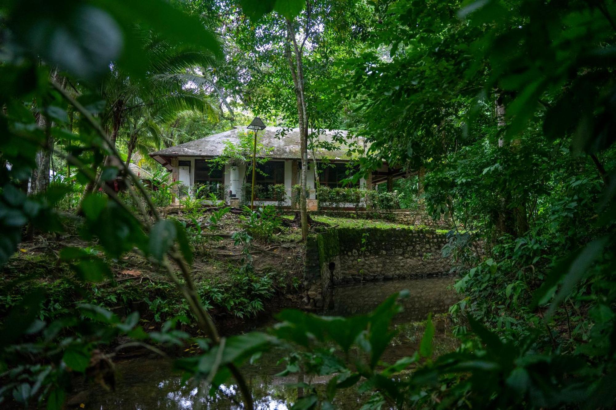 Chan-Kah Resort Village Convention Center & Maya Spa Palenque Exteriér fotografie